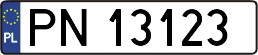PN13123