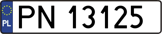 PN13125