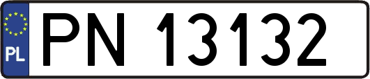 PN13132