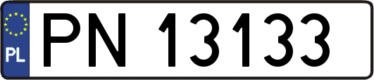 PN13133