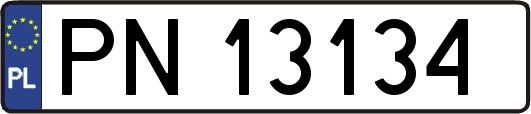 PN13134