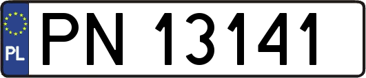 PN13141
