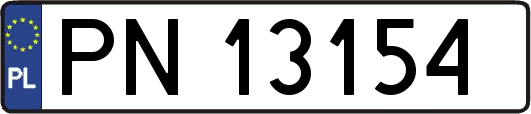 PN13154