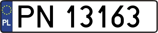 PN13163