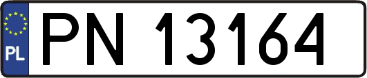 PN13164