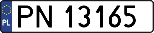 PN13165