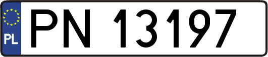 PN13197