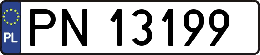 PN13199