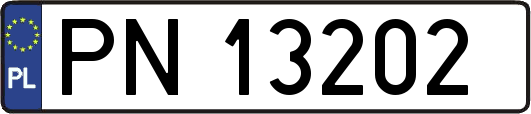 PN13202