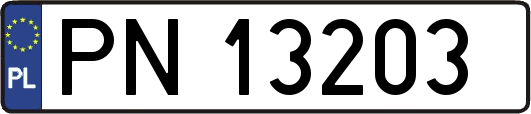PN13203