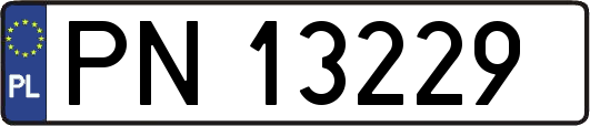 PN13229
