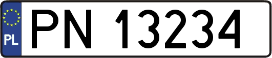 PN13234