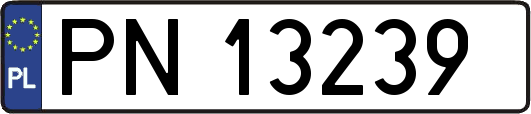 PN13239