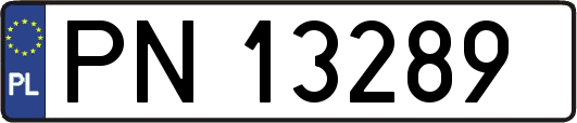 PN13289
