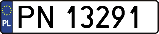 PN13291