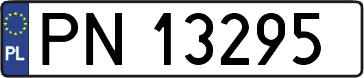 PN13295