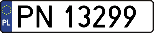 PN13299