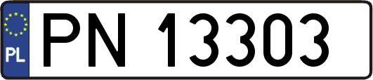 PN13303