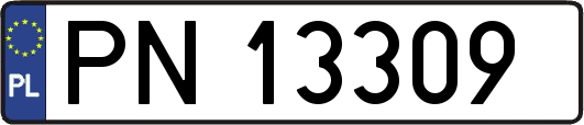 PN13309