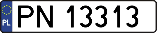 PN13313