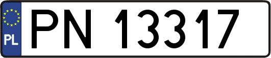 PN13317