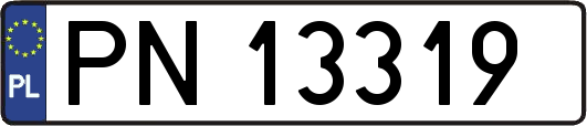 PN13319