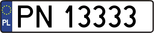 PN13333