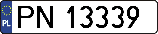 PN13339