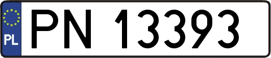 PN13393