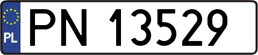 PN13529