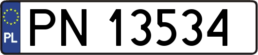 PN13534