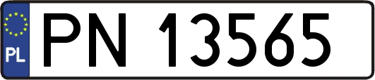 PN13565