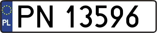 PN13596