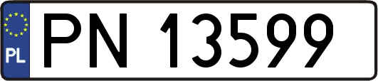 PN13599