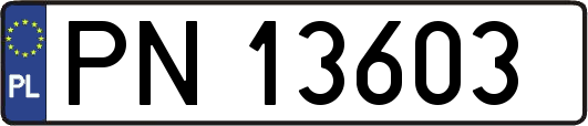 PN13603
