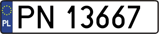 PN13667