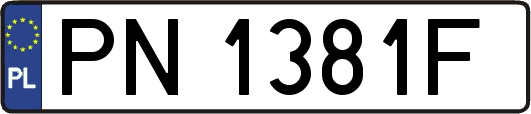 PN1381F