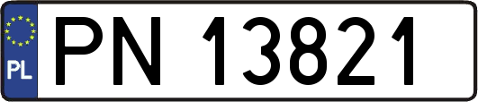 PN13821