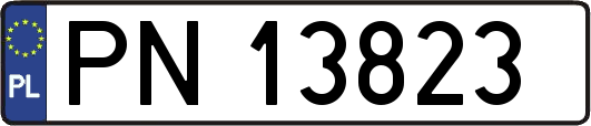 PN13823