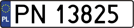 PN13825