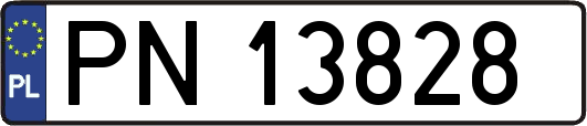 PN13828