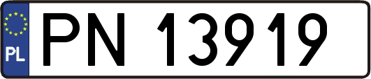 PN13919