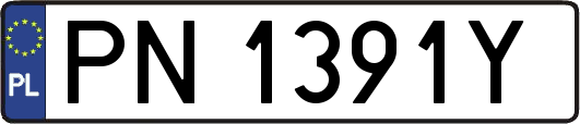 PN1391Y