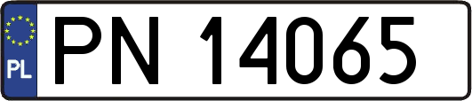 PN14065