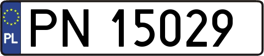 PN15029
