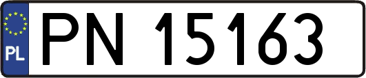 PN15163