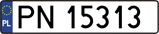 PN15313