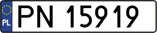 PN15919