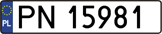 PN15981