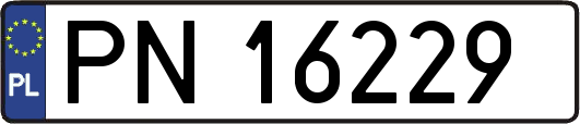 PN16229